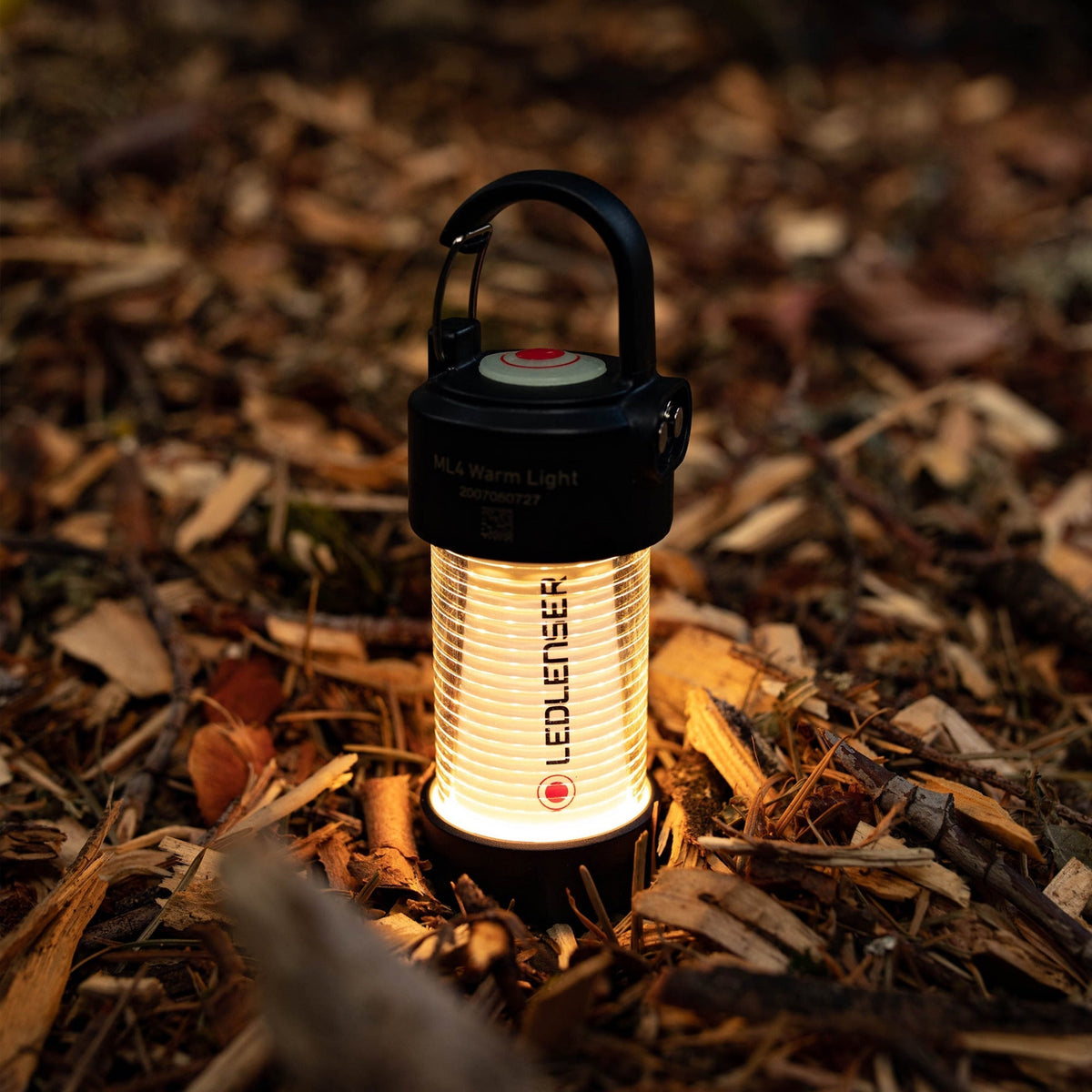 Lighting & Flashlights