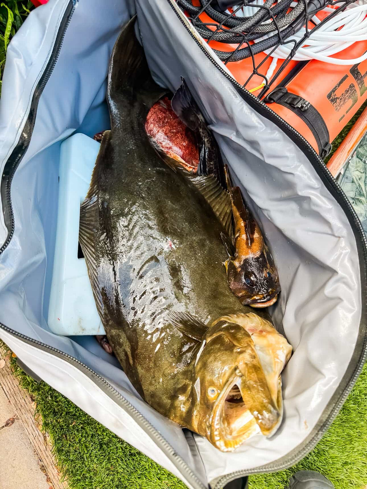 Buffalo Gear 45QT Fish Cooler Bag with Flat Bottom