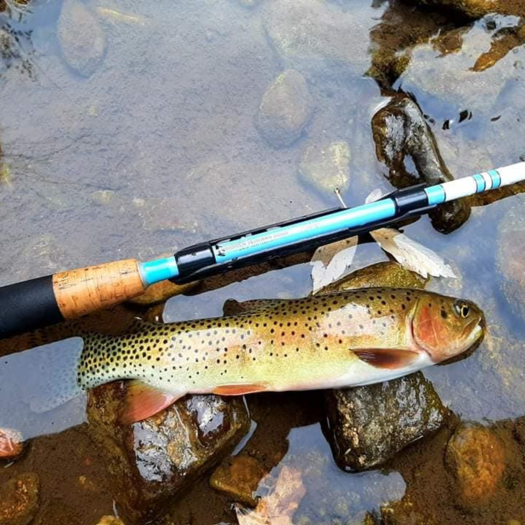 Wasatch Maruki Sharpshooter Triple-Zoom Tenkara Rod