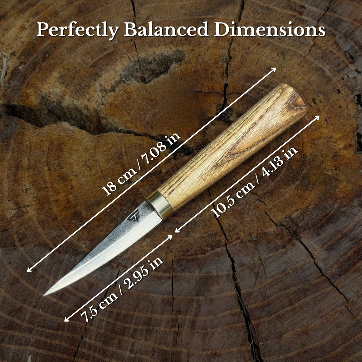 Sharky Forged Whittling Sloyd Knife — 2.95"